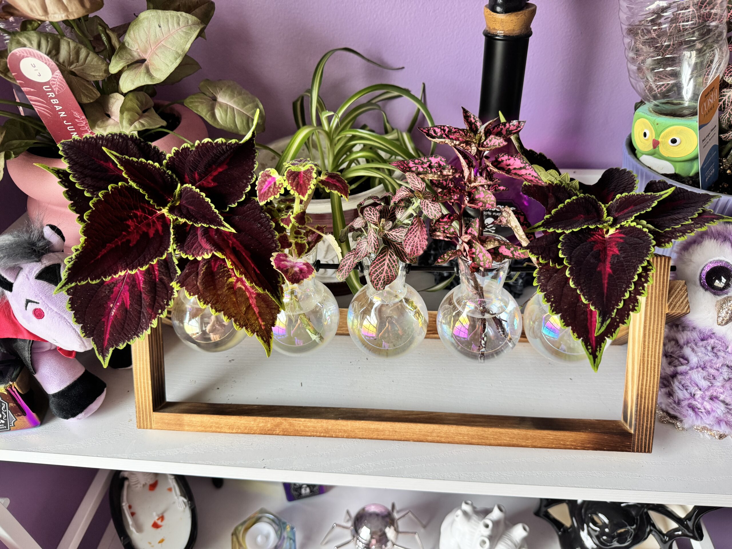 I’ve submitted queries to five literary agents this week!